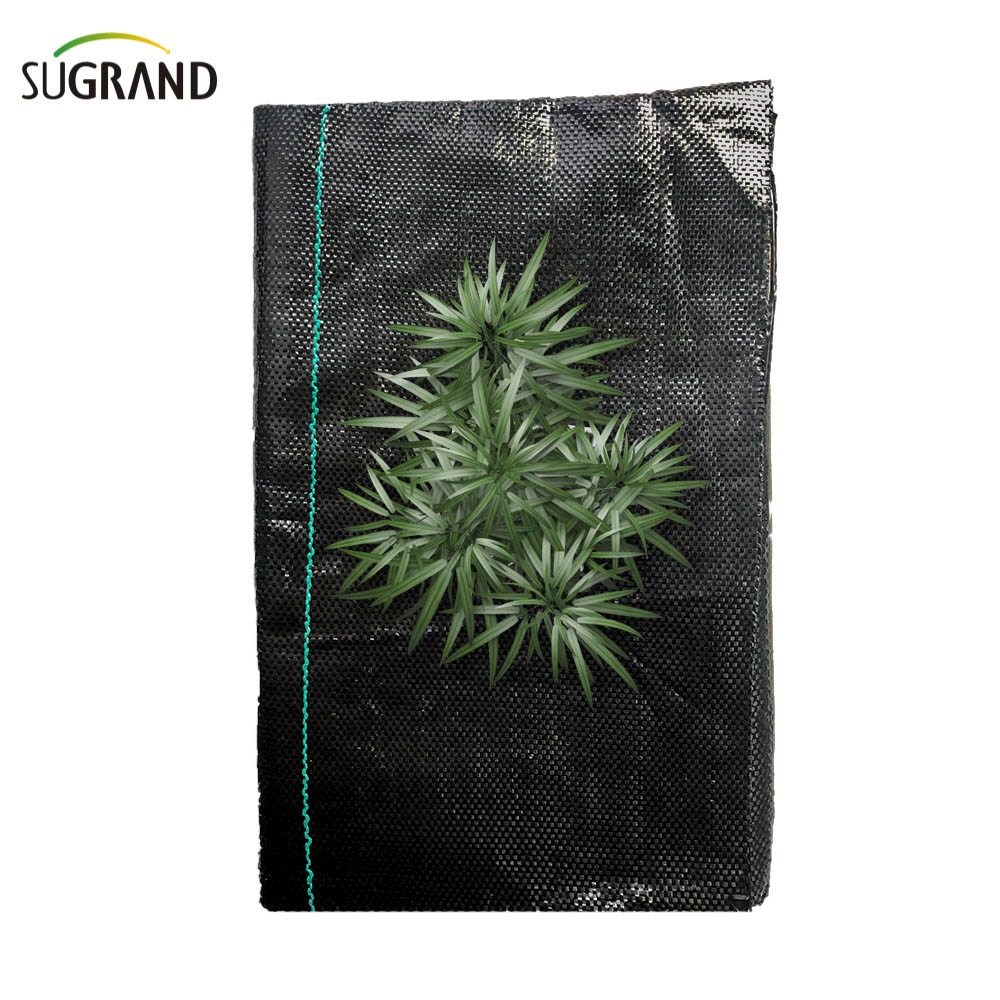 100% PP כיסוי קרקע שחור/בד מחסום עשבים