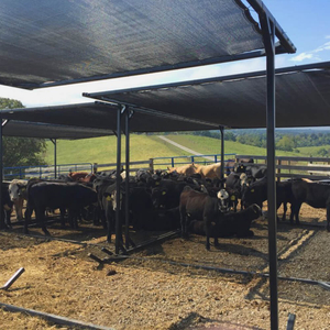 חקלאות מפעל רשתות צל מונו סרוג