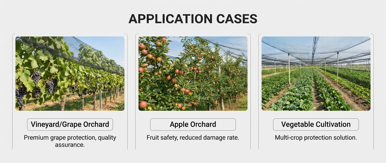 רשת ברד garden.jpg