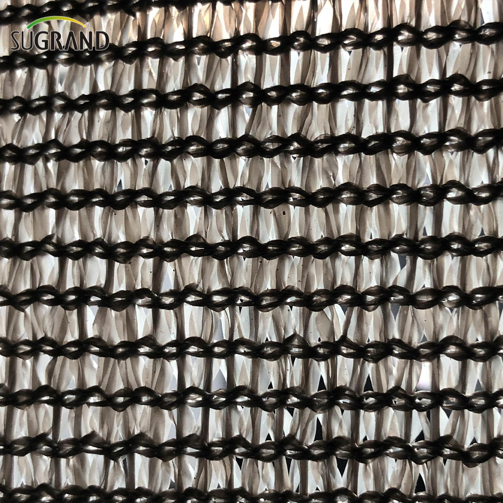 קלטת מונו קלטת רשת