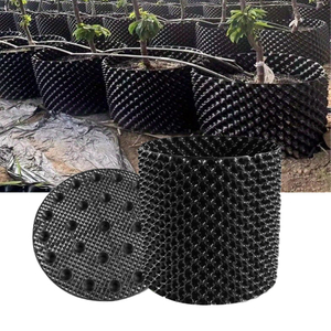 מיכל שליטת שורש צמח