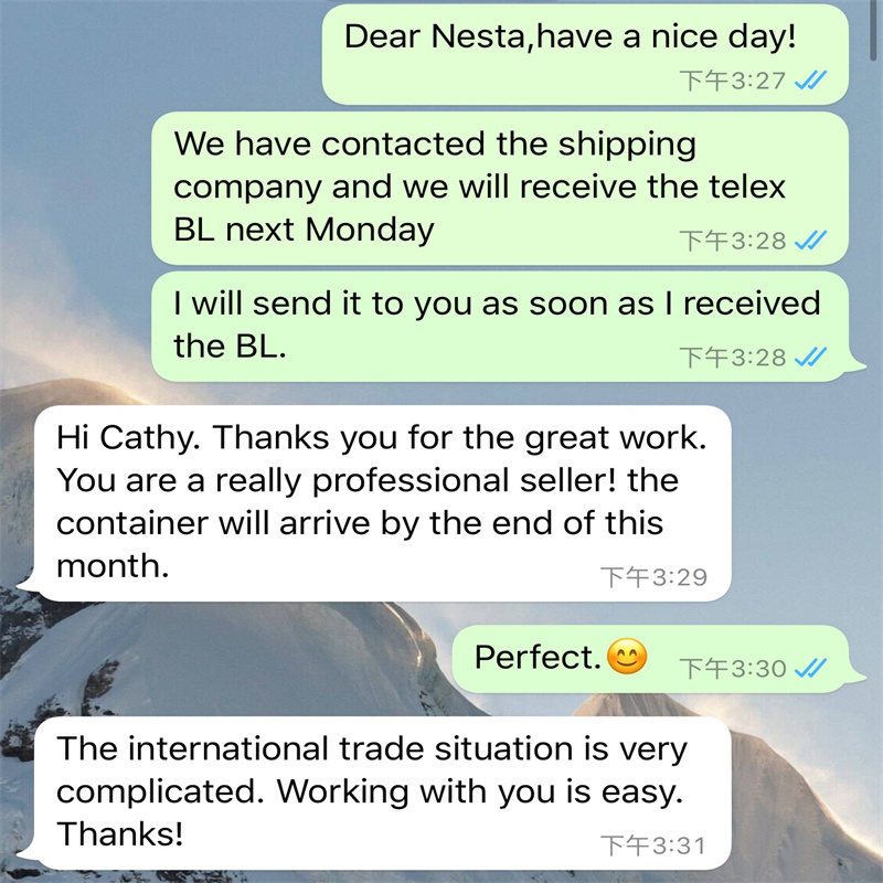 רשת פיגומים