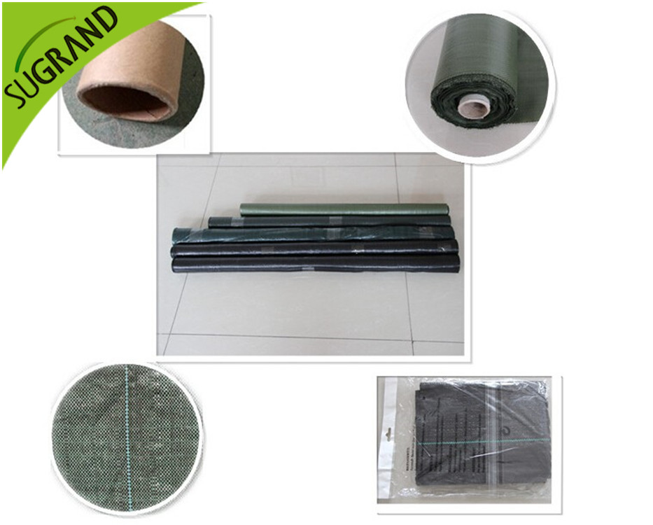 חיפוי קרקע שחור