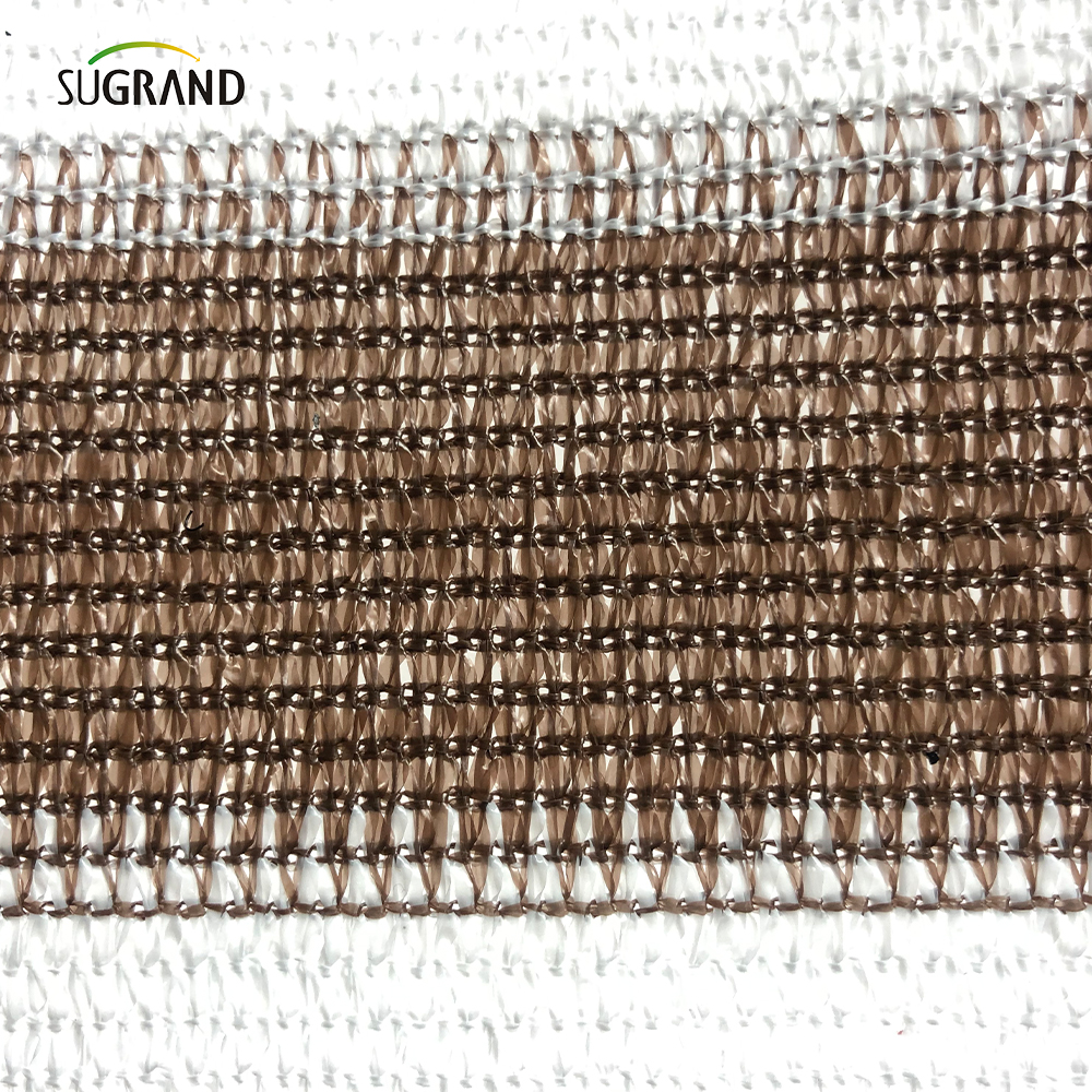 HDPE גודל בהתאמה אישית עבודה משובחת