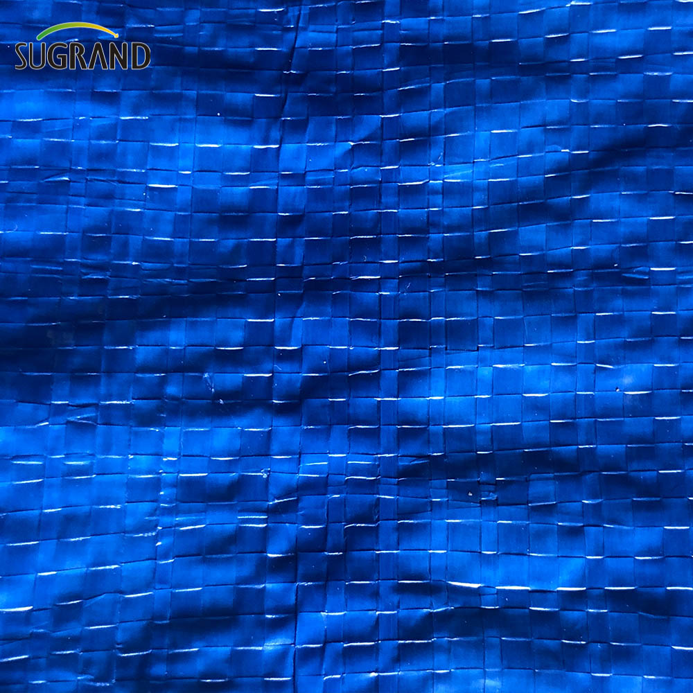 בד פלסטיק עמיד למים PE Blue-Green Tarpaulin לחקלאות