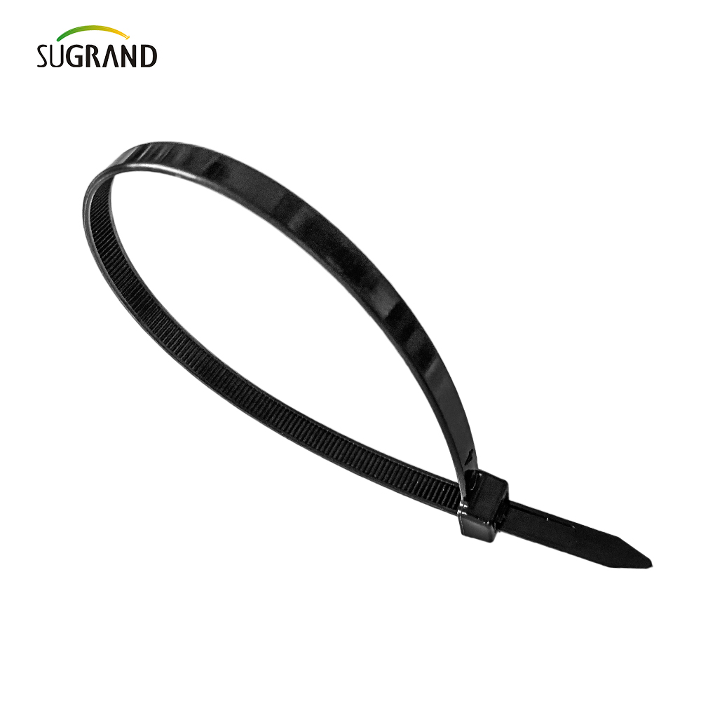 עניבת כבל ניילון של כבל ניילון באיכות גבוהה