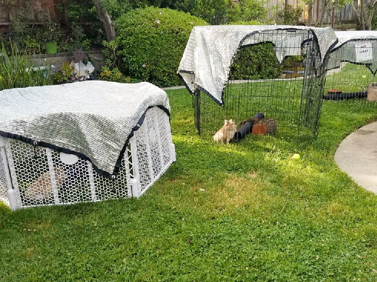 יצרני רשת חקלאיים מובילים בבנגלור