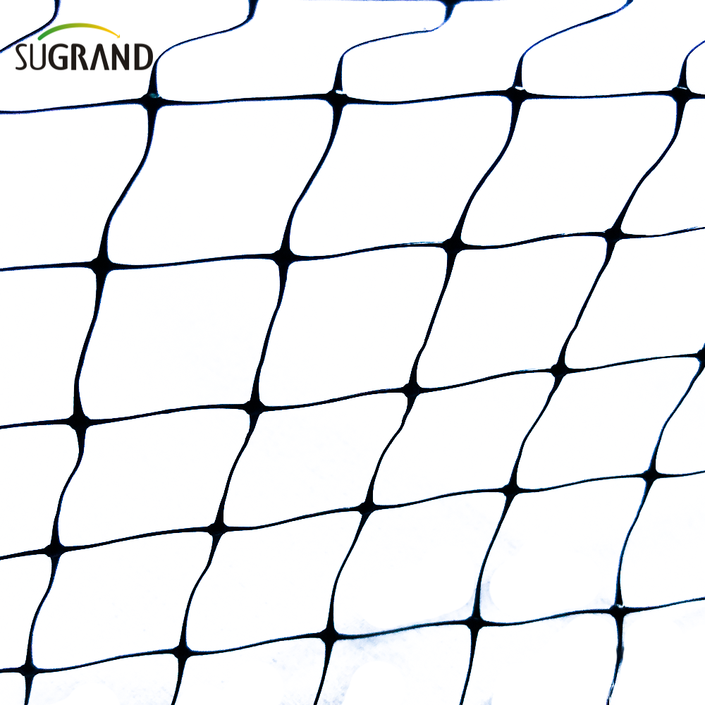 רשת שחורה נגד ציפורים לצמחים