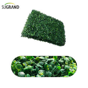 עלים מלאכותיים עלים מלאכותיים לגינה