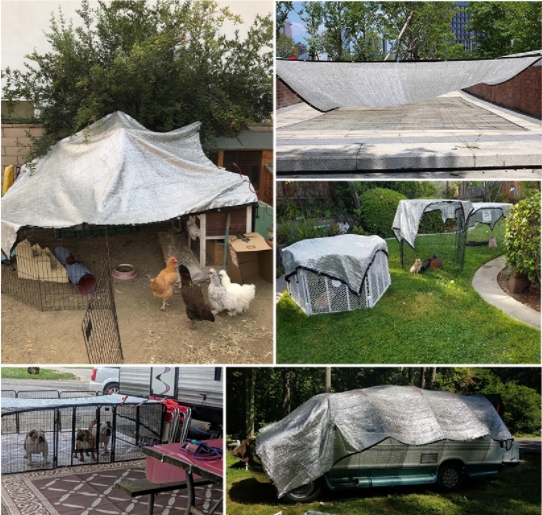 נטו צל אלומיניום