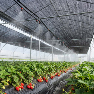 SUGRAND בד גוון שטוח טייפ שחור