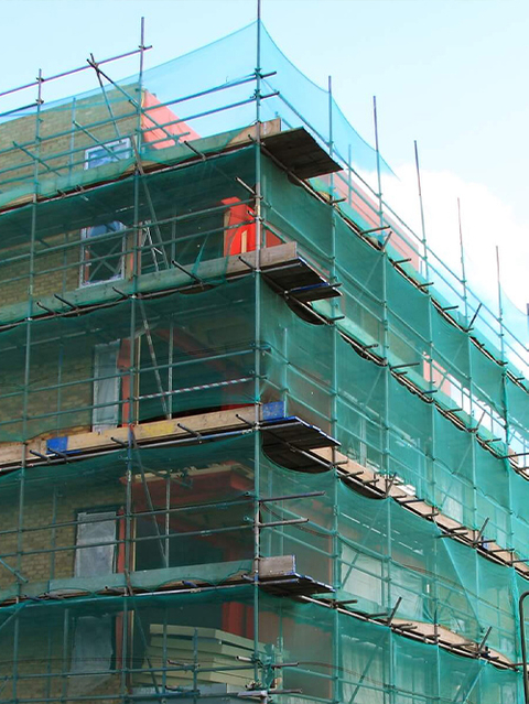 רשת פיגומים