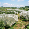 רשת חרקים HDPE 40 Mesh לירקות חממה