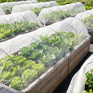 סיטונאי UV מיוצב HDPE רשת נגד חרקים