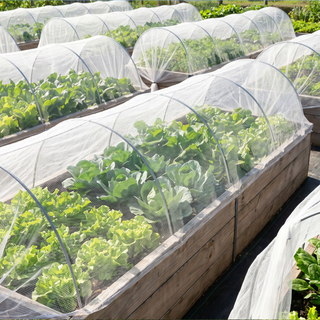 סיטונאי UV מיוצב HDPE רשת נגד חרקים