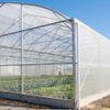 סיטונאי UV מיוצב HDPE רשת נגד חרקים