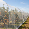 רשת חרקים HDPE 40 Mesh לירקות חממה